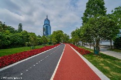 道路保護劑案例07